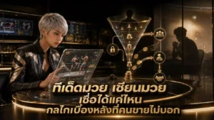 ทีเด็ดมวย