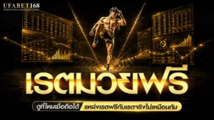 เรตมวย one