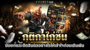 กติกาไก่ชน
