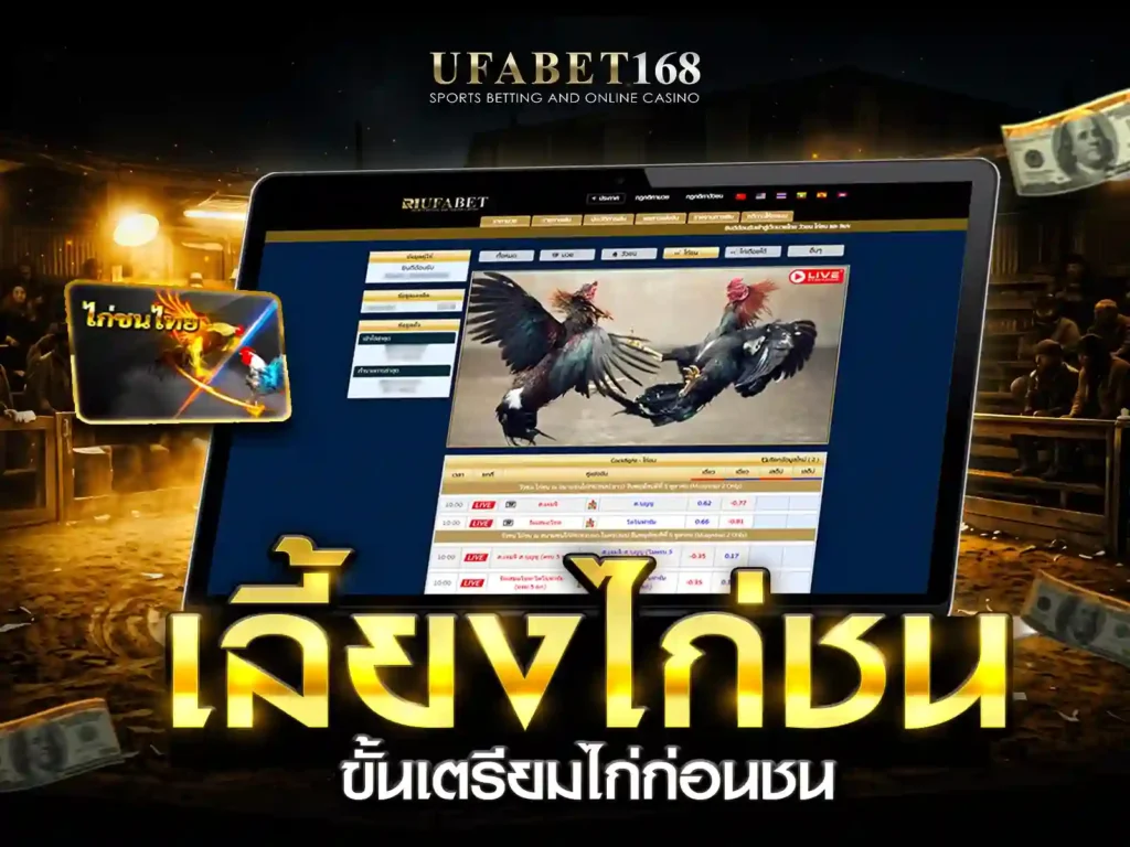 การเลี้ยงไก่ชน