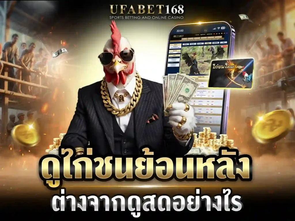 คลิปไก่ชนย้อนหลัง
