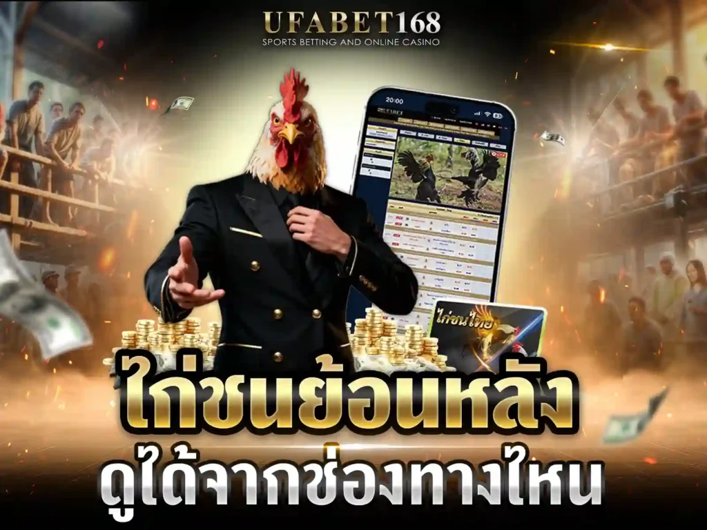 ดูไก่ชนย้อนหลัง