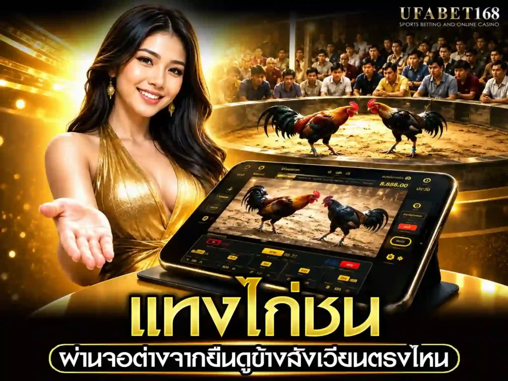 ตีไก่ออนไลน์