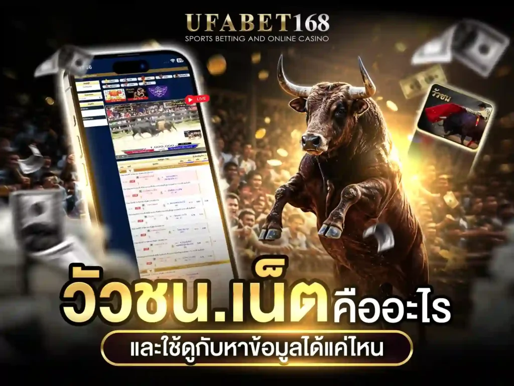 วัวชนดอทเน็ต