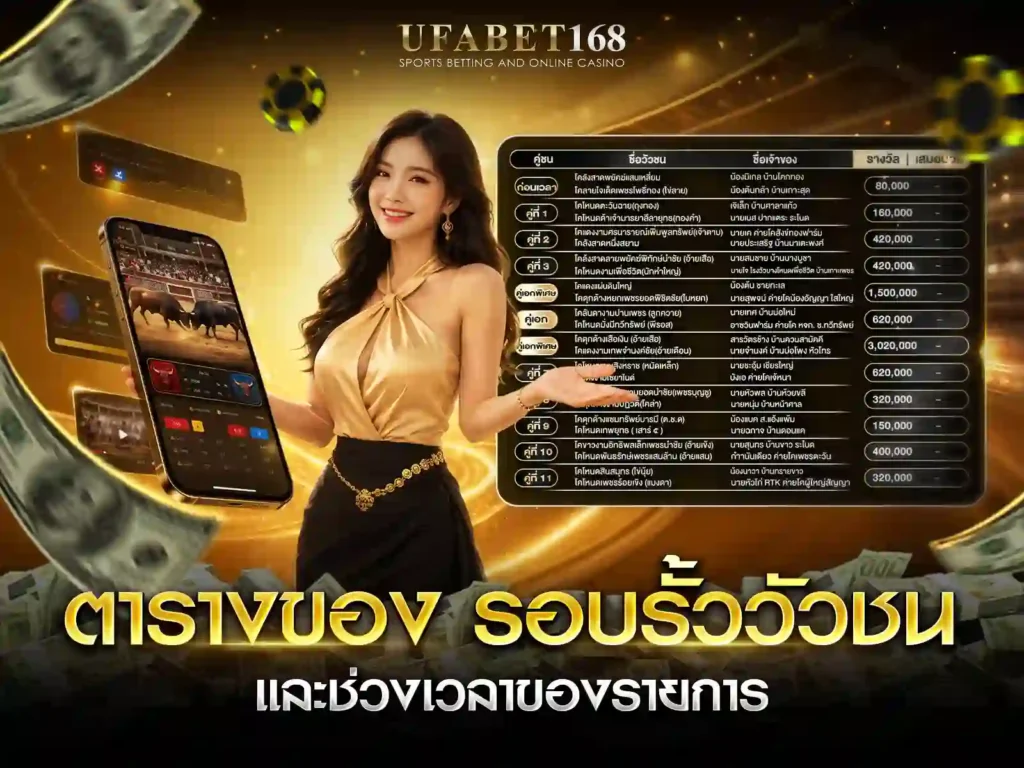 วัวชนสดวันนี้