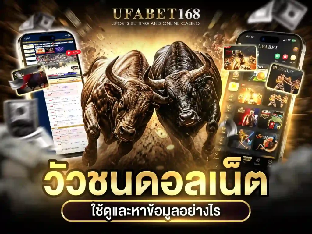 วัวชนเน็ต