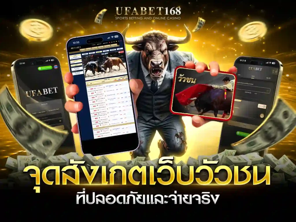 วัวชนเว็บ
