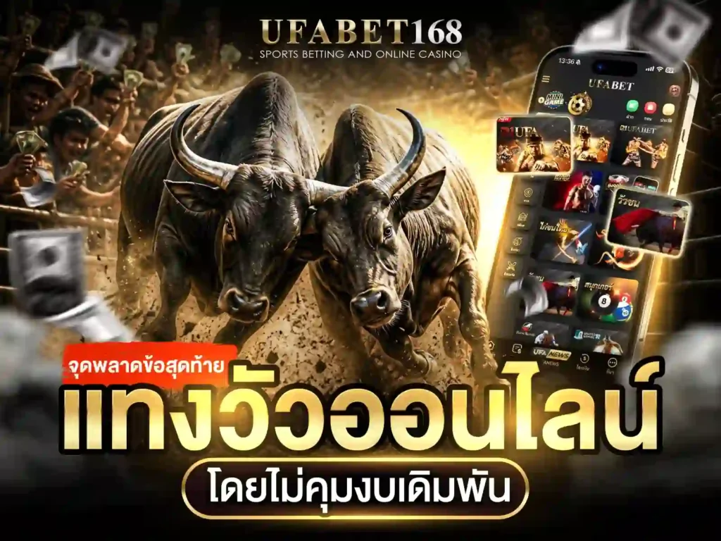 เล่นวัวชนสด