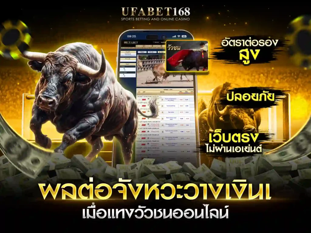 แทงวัวชนออนไลน์