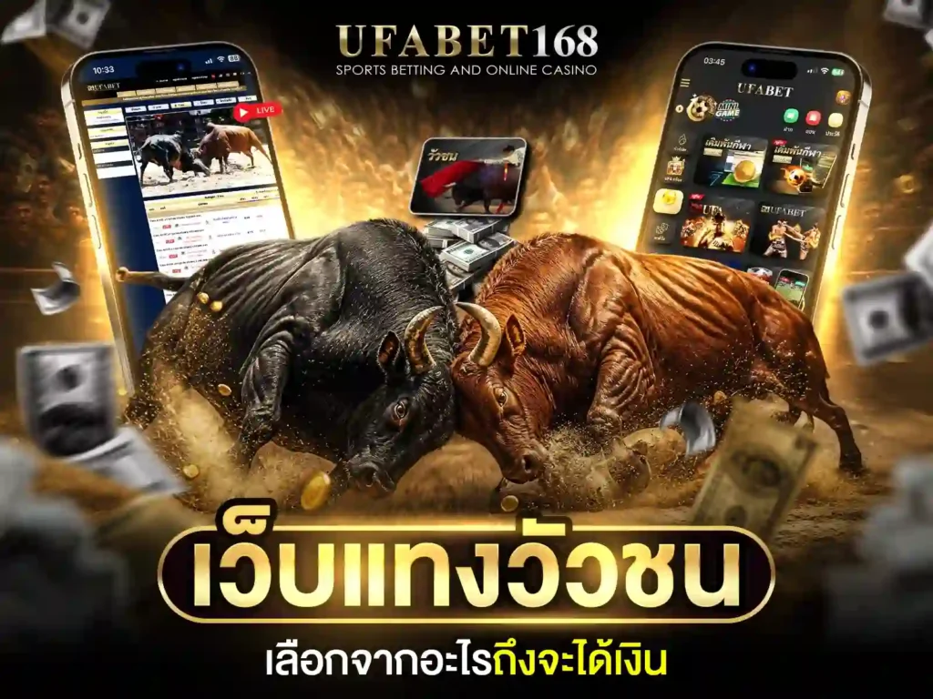 แทงวัวออนไลน์