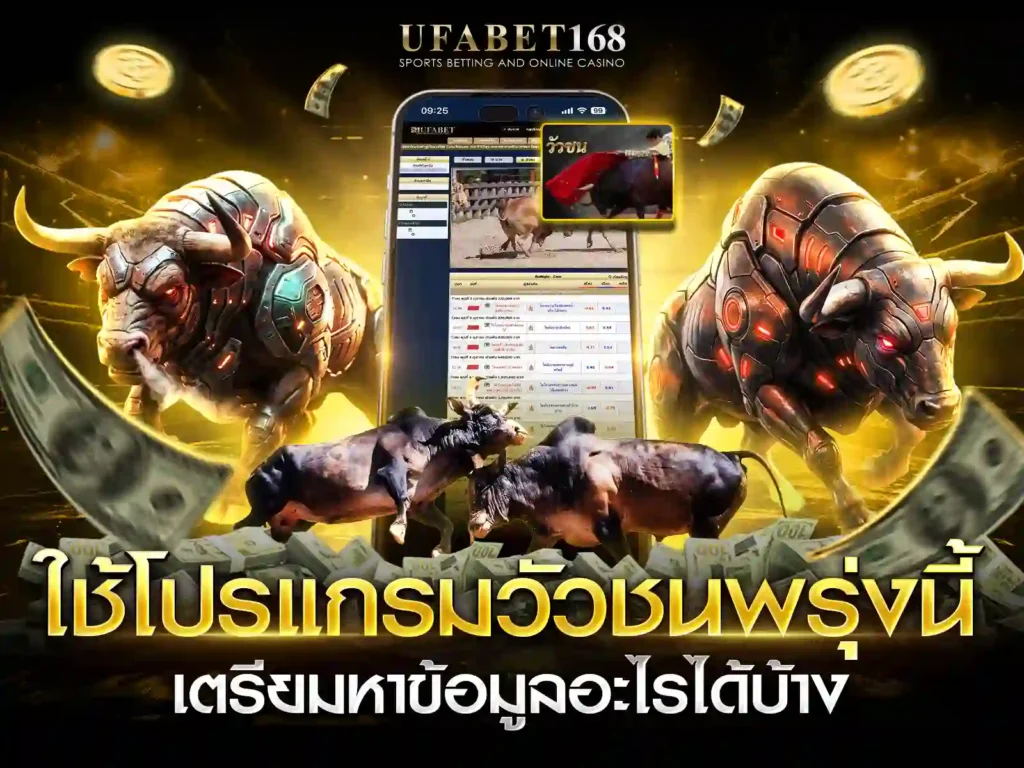 โปรแกรมวัวชน