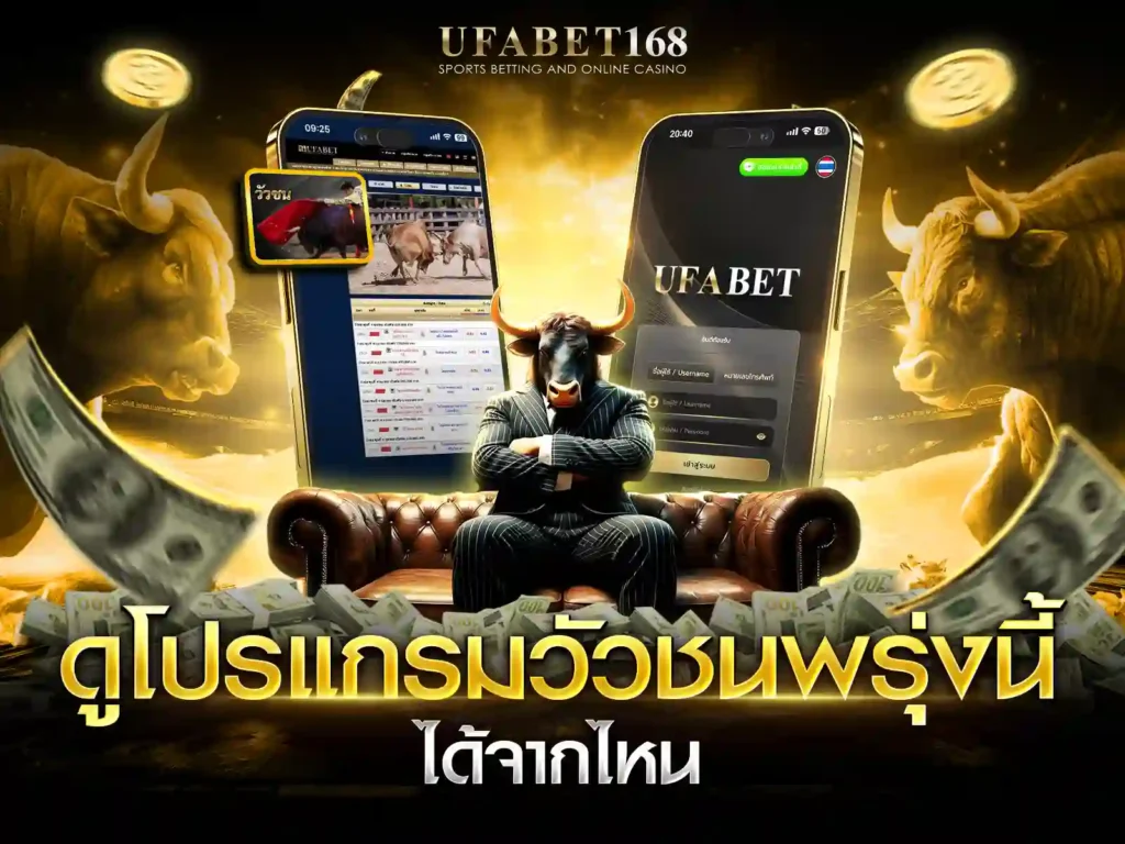 โปรแกรมวัวชนวันพรุ่งนี้