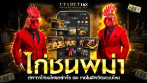 ไก่ชนพม่า
