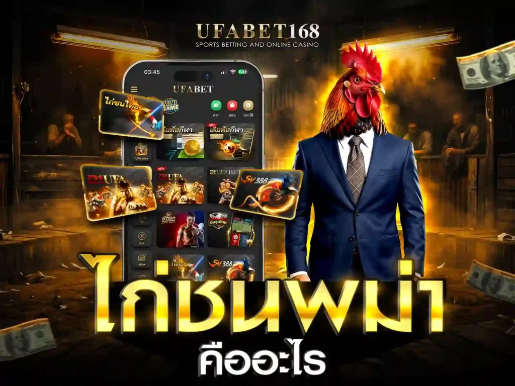ไก่พม่า