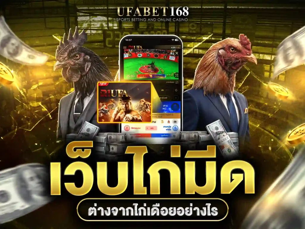 ไก่มีด