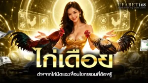 ไก่เดือย